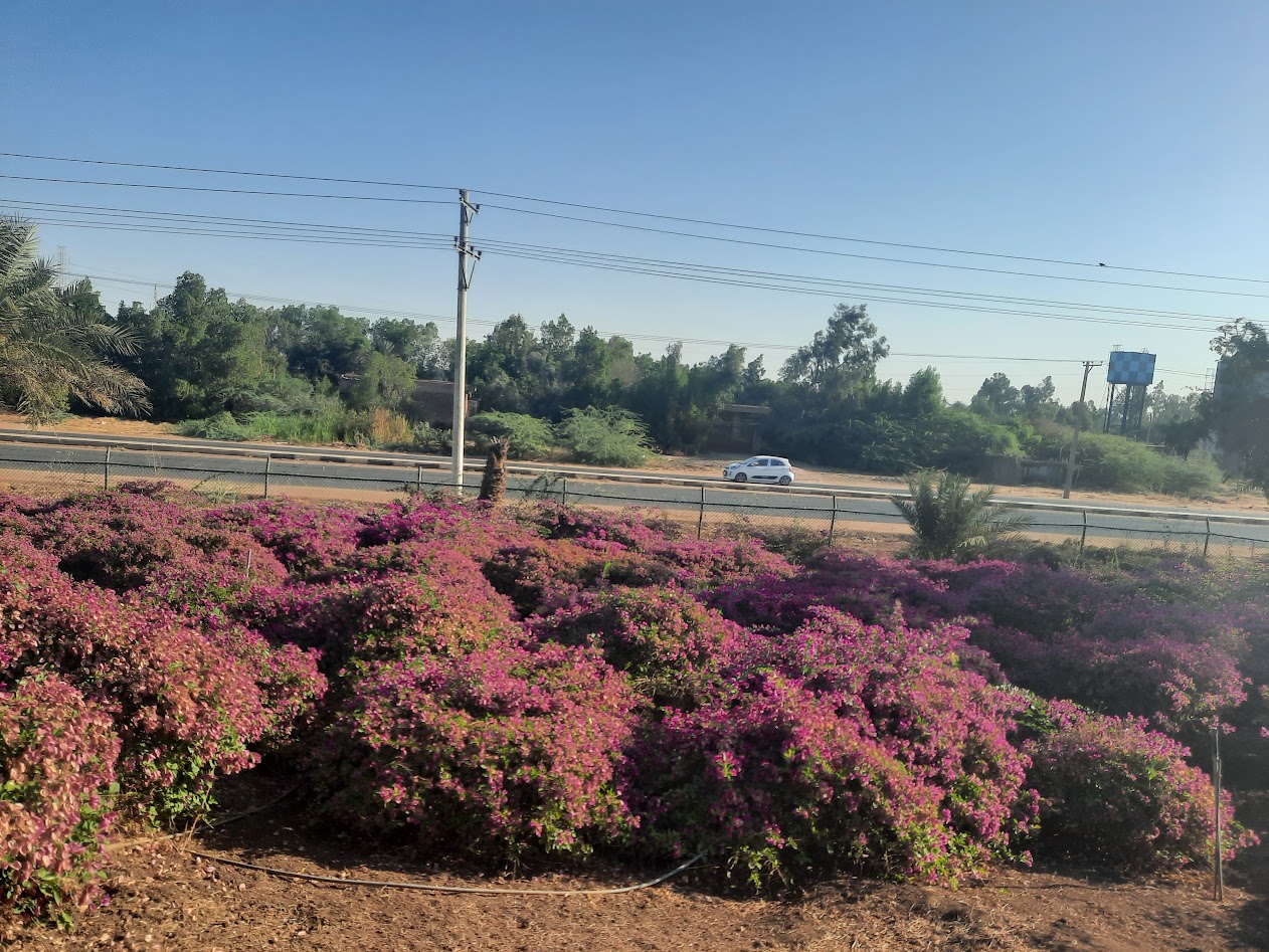 Participation in local agriculture expo